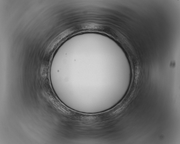 X0000108481017200904241254