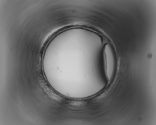 X0000108481021200904241254