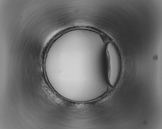 X0000108481022200904241255