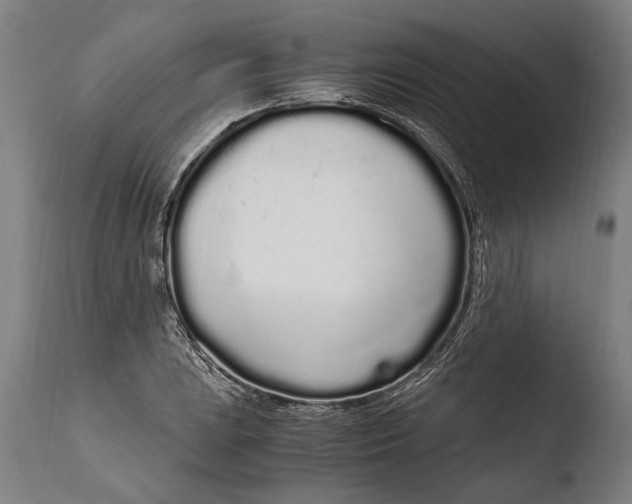 X0000108481023200904241255