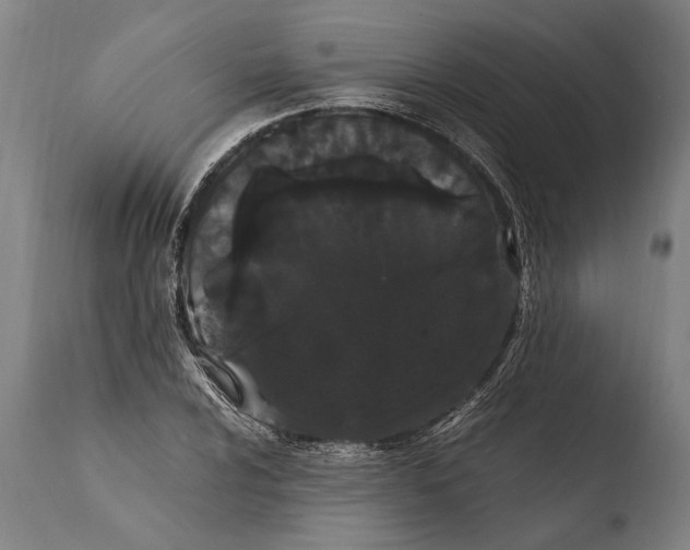 X0000108481024200904241255