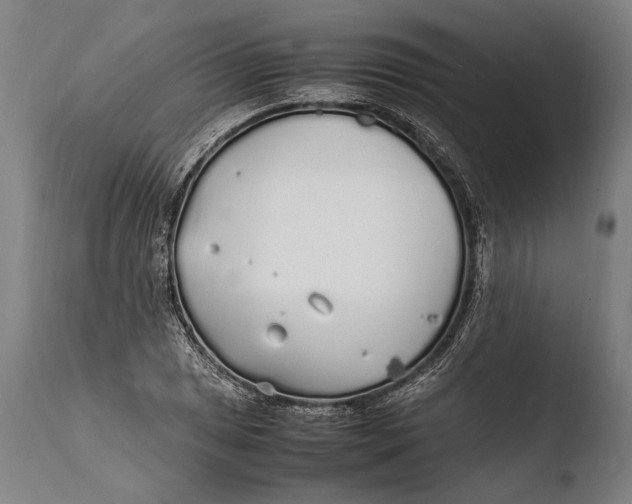 X0000108481025200904241255