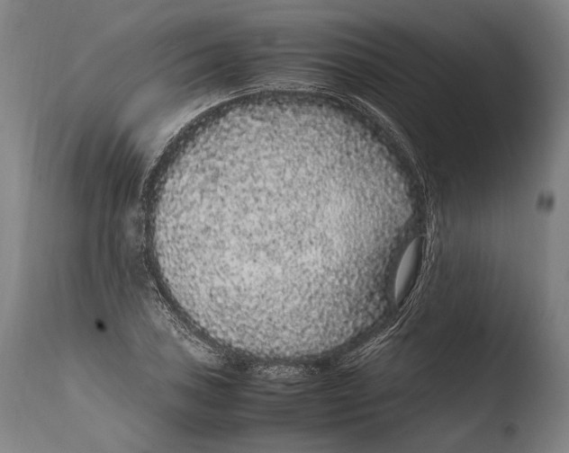 X0000108481027200904241255