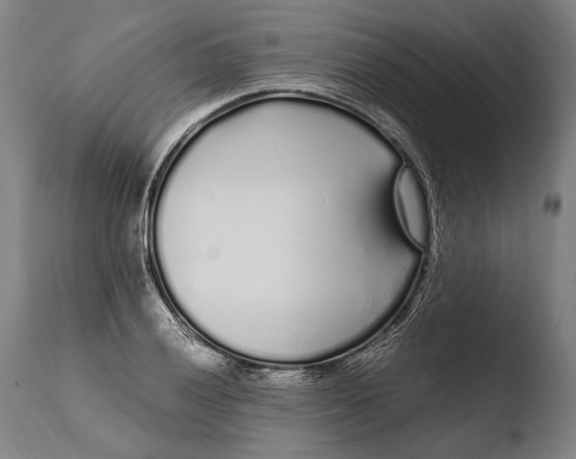 X0000108481028200904241255