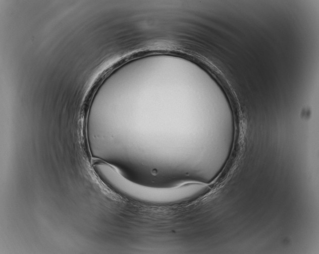X0000108481029200904241255