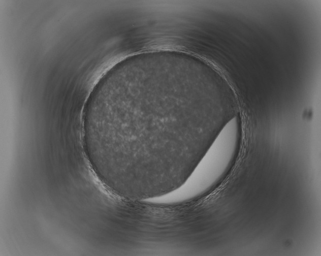 X0000108481031200904241255