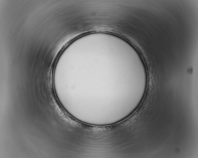 X0000108481032200904241255