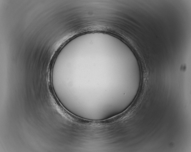 X0000108481034200904241255