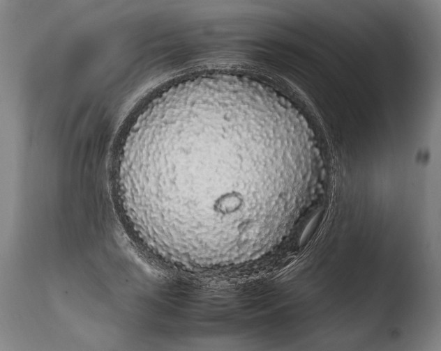 X0000108481035200904241255