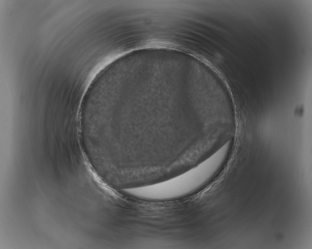 X0000108481037200904241255