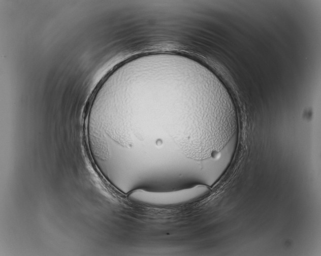 X0000108481039200904241255