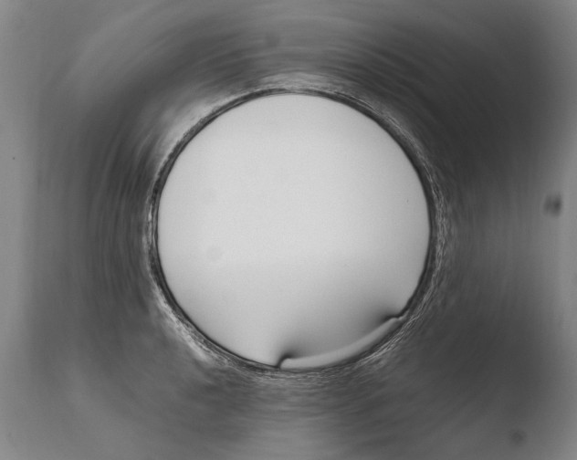 X0000108481040200904241255