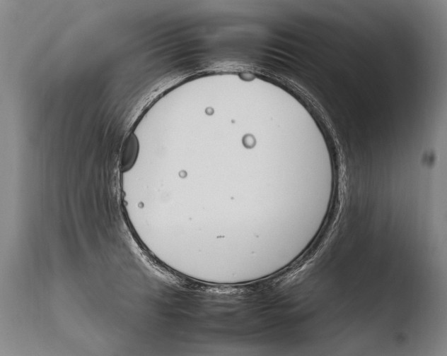 X0000108481041200904241255