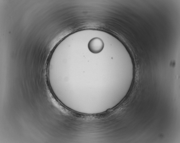 X0000108481042200904241255