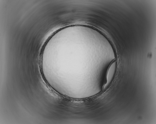 X0000108481043200904241255