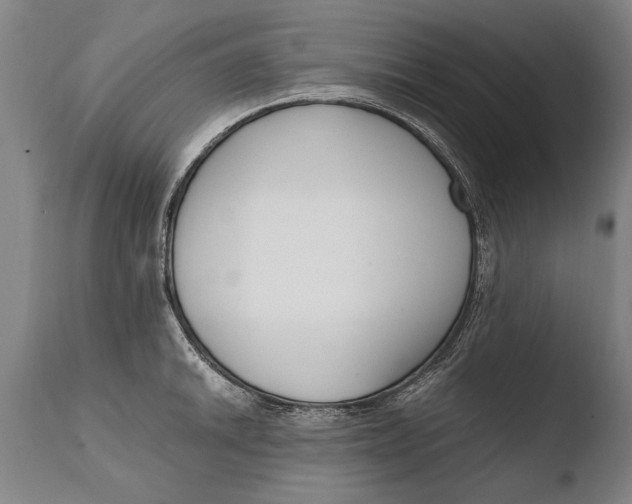 X0000108481046200904241255
