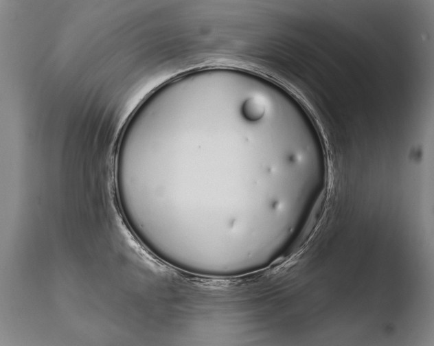 X0000108481048200904241255