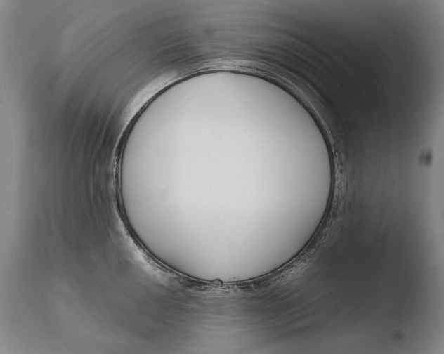 X0000108481050200904241255