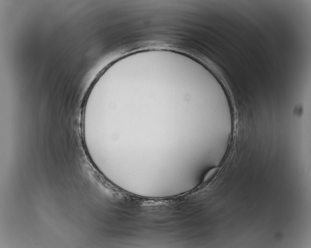 X0000108481051200904241255
