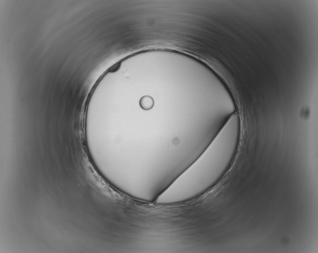 X0000108481052200904241255