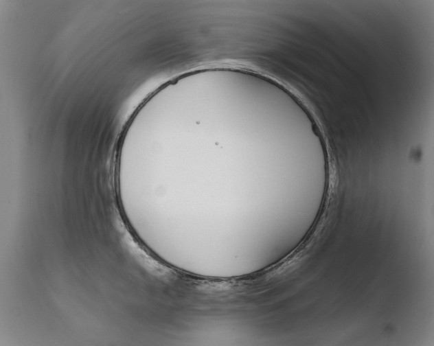 X0000108481054200904241255