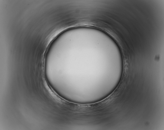 X0000108481055200904241255