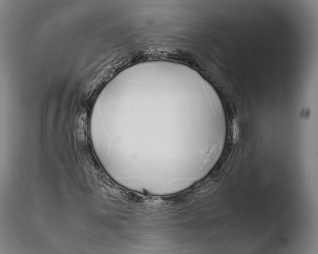 X0000108481059200904241254