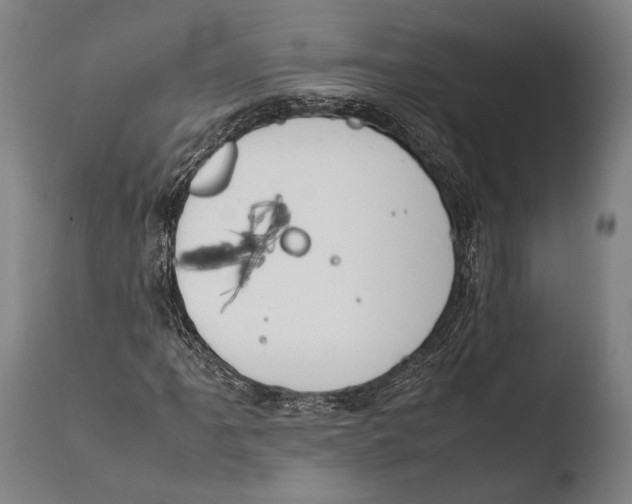 X0000108481061200904241254