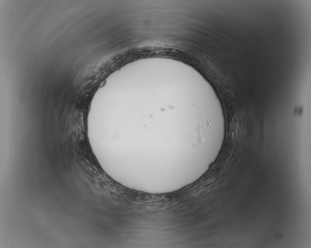 X0000108481062200904241254