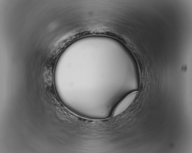 X0000108481063200904241254