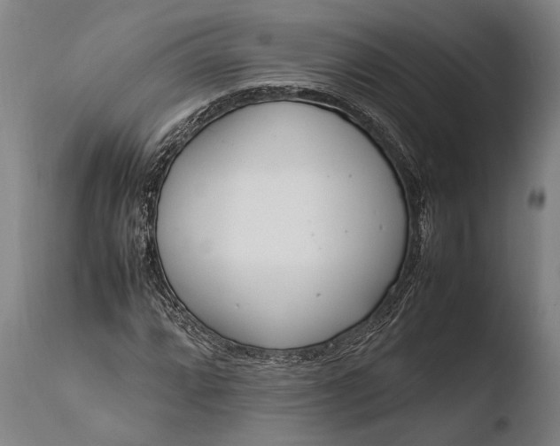 X0000108481064200904241254