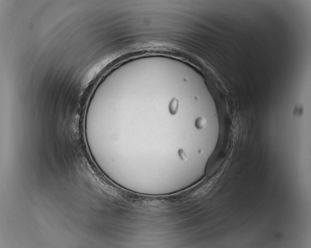 X0000108481066200904241254
