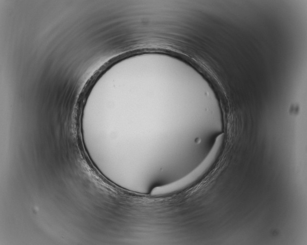 X0000108481068200904241254