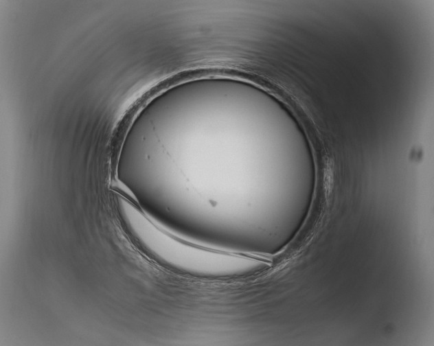 X0000108481069200904241254