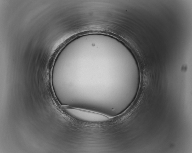 X0000108481070200904241254