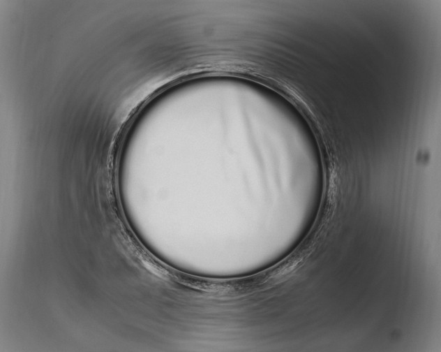 X0000108481071200904241254