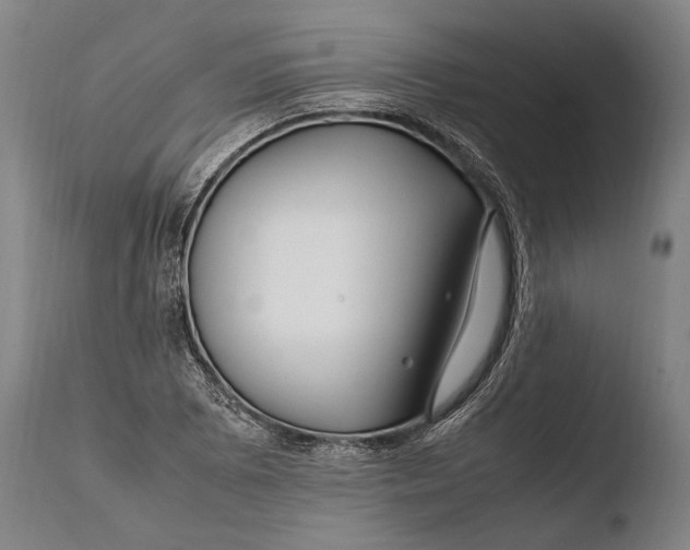 X0000108481073200904241254