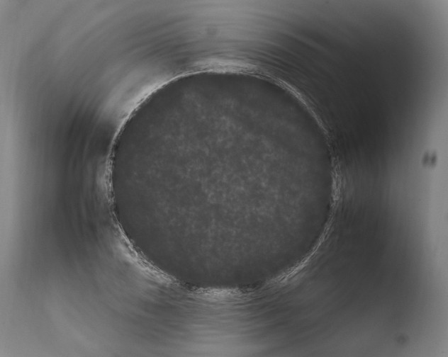 X0000108481074200904241254