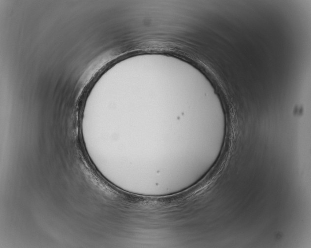 X0000108481075200904241254