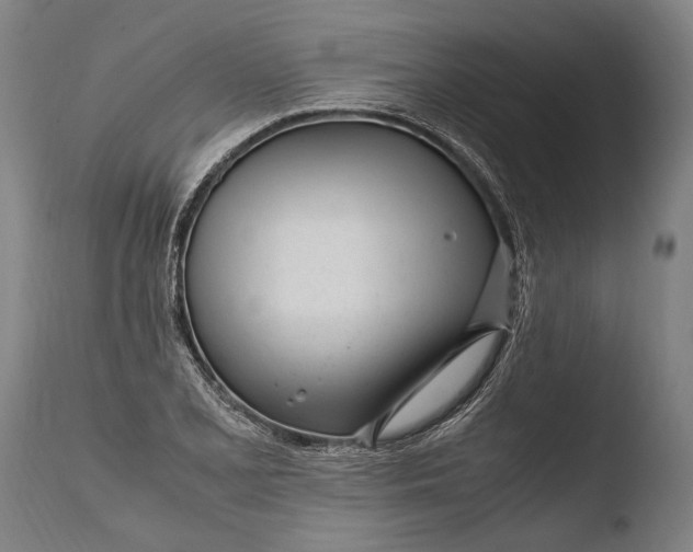 X0000108481077200904241254