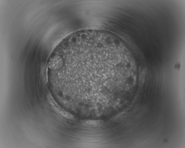 X0000108481078200904241254