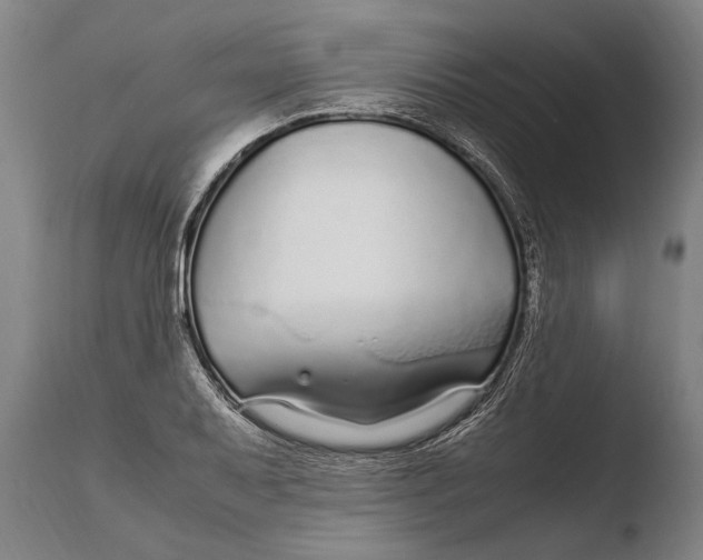 X0000108481079200904241254