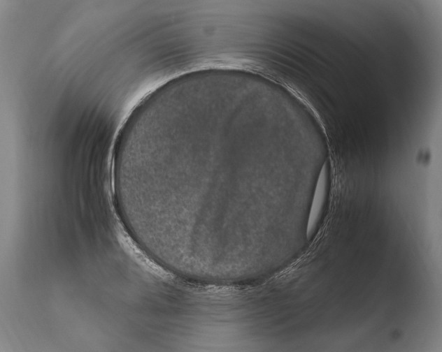 X0000108481080200904241254