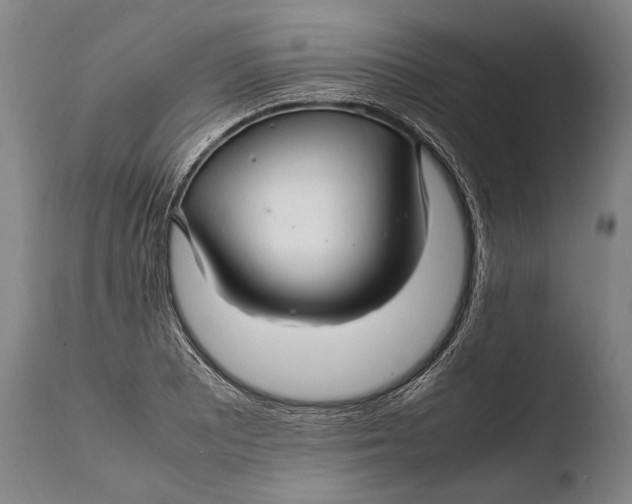 X0000108481081200904241254