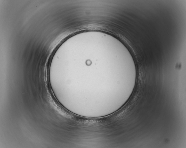 X0000108481082200904241254