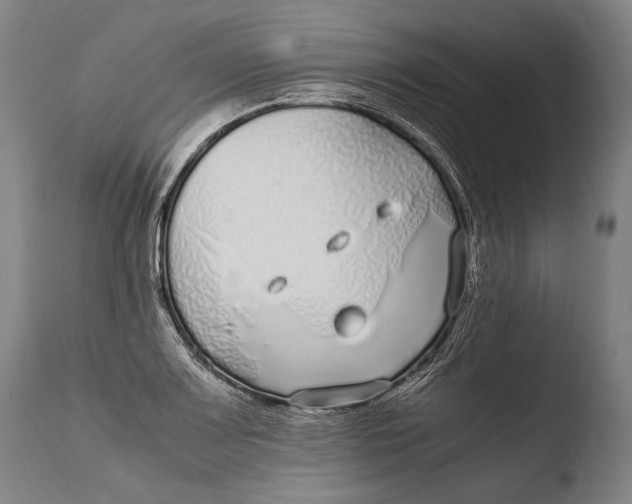 X0000108481083200904241254