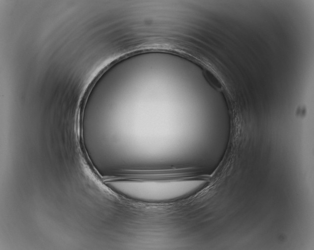X0000108481084200904241254