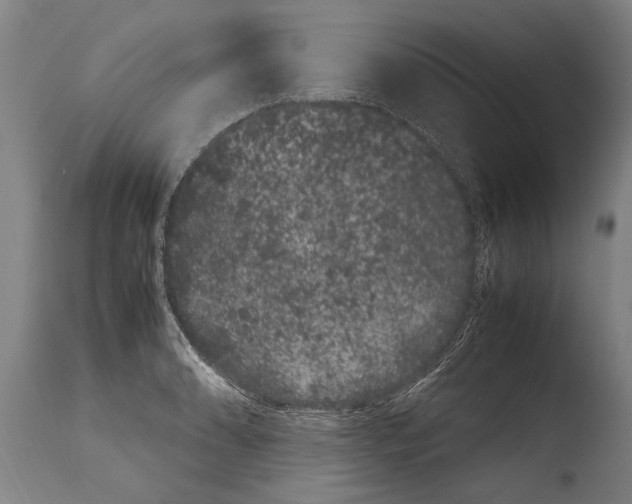 X0000108481086200904241254
