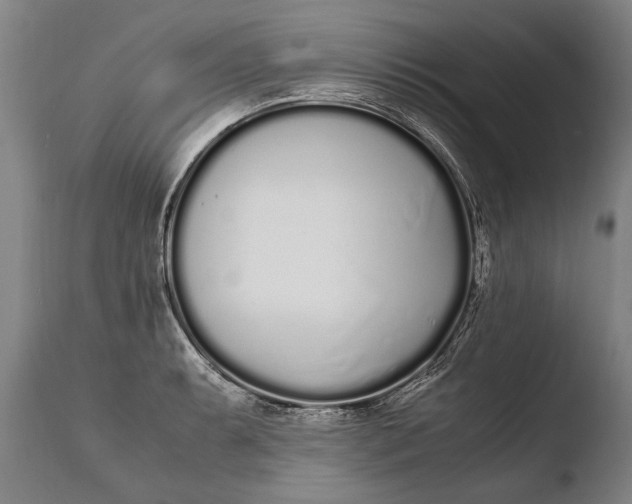 X0000108481087200904241254