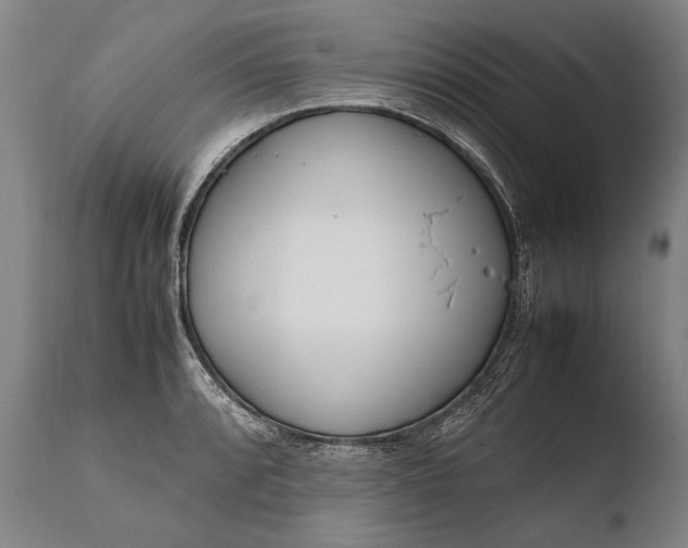 X0000108481088200904241254